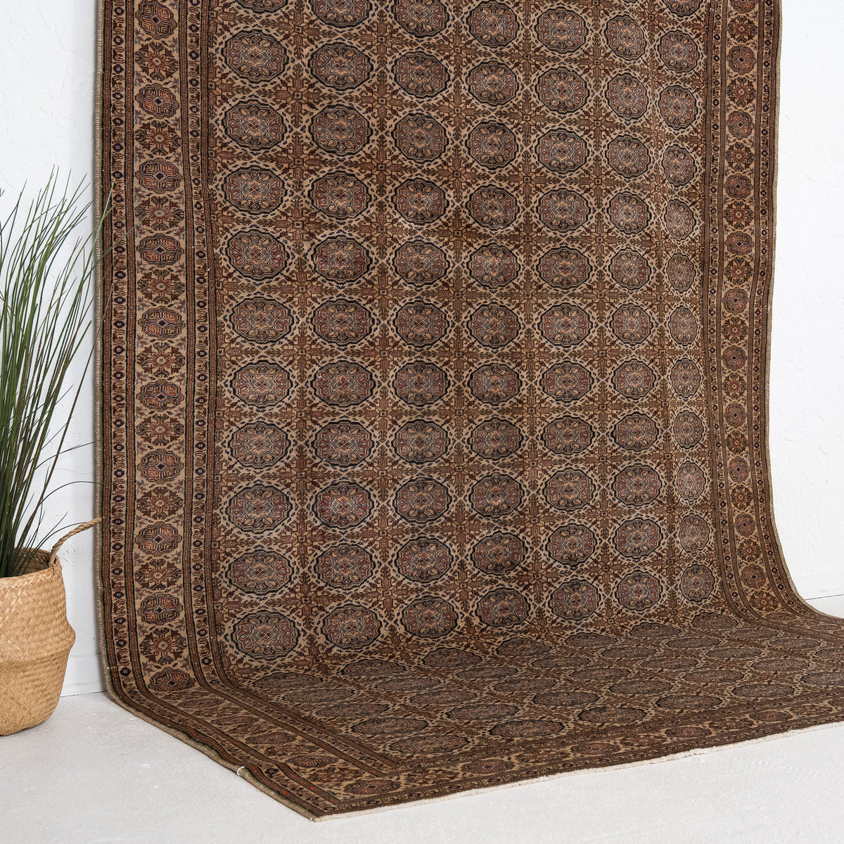 Beige and Brown Area Wool Rug