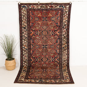 Benedoria - Vintage Persian Area Rug