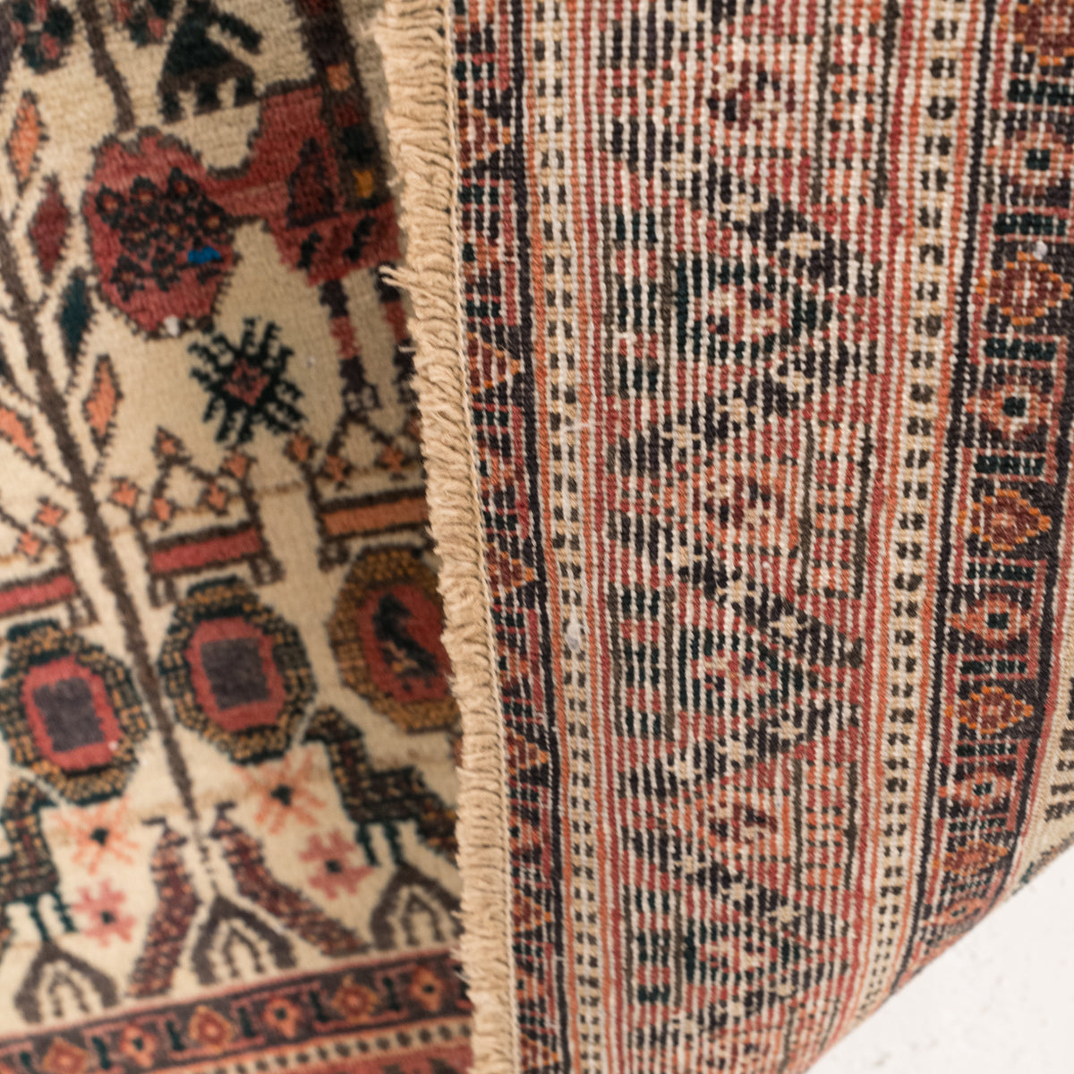 5x6 Beige Area Rug