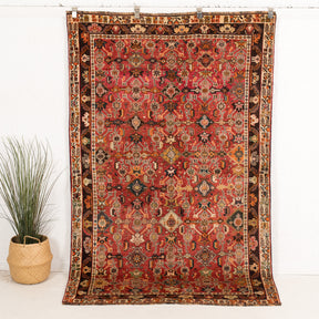 Fabianona - Vintage Persian Area Rug