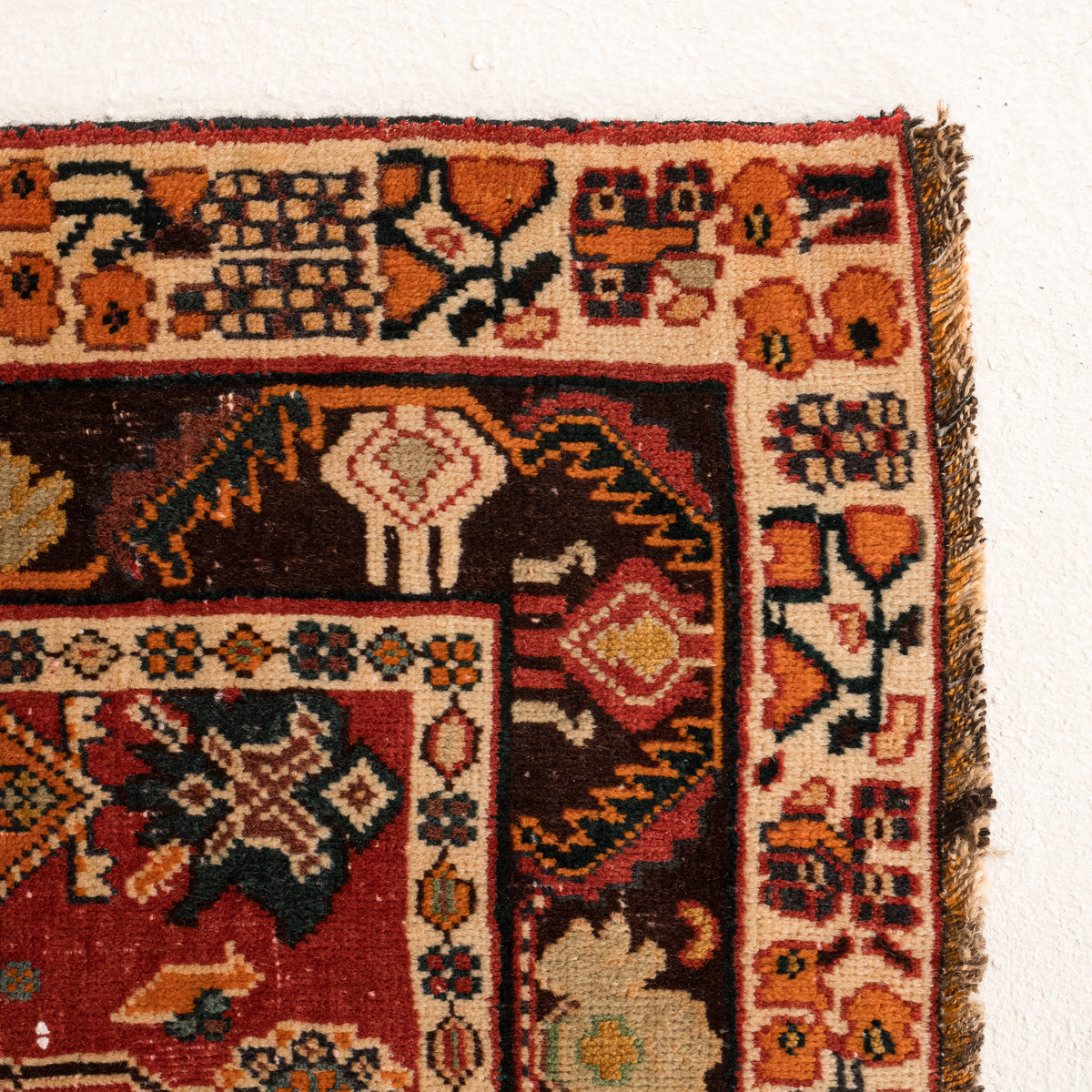 Allover 5x8 Area Rug