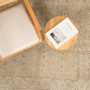 Antiquewashed Beige Area Rug