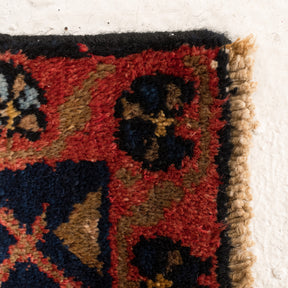 Medallion 4x7 Area Rug