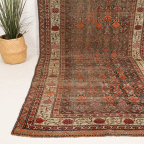 5x11 Persian Rug