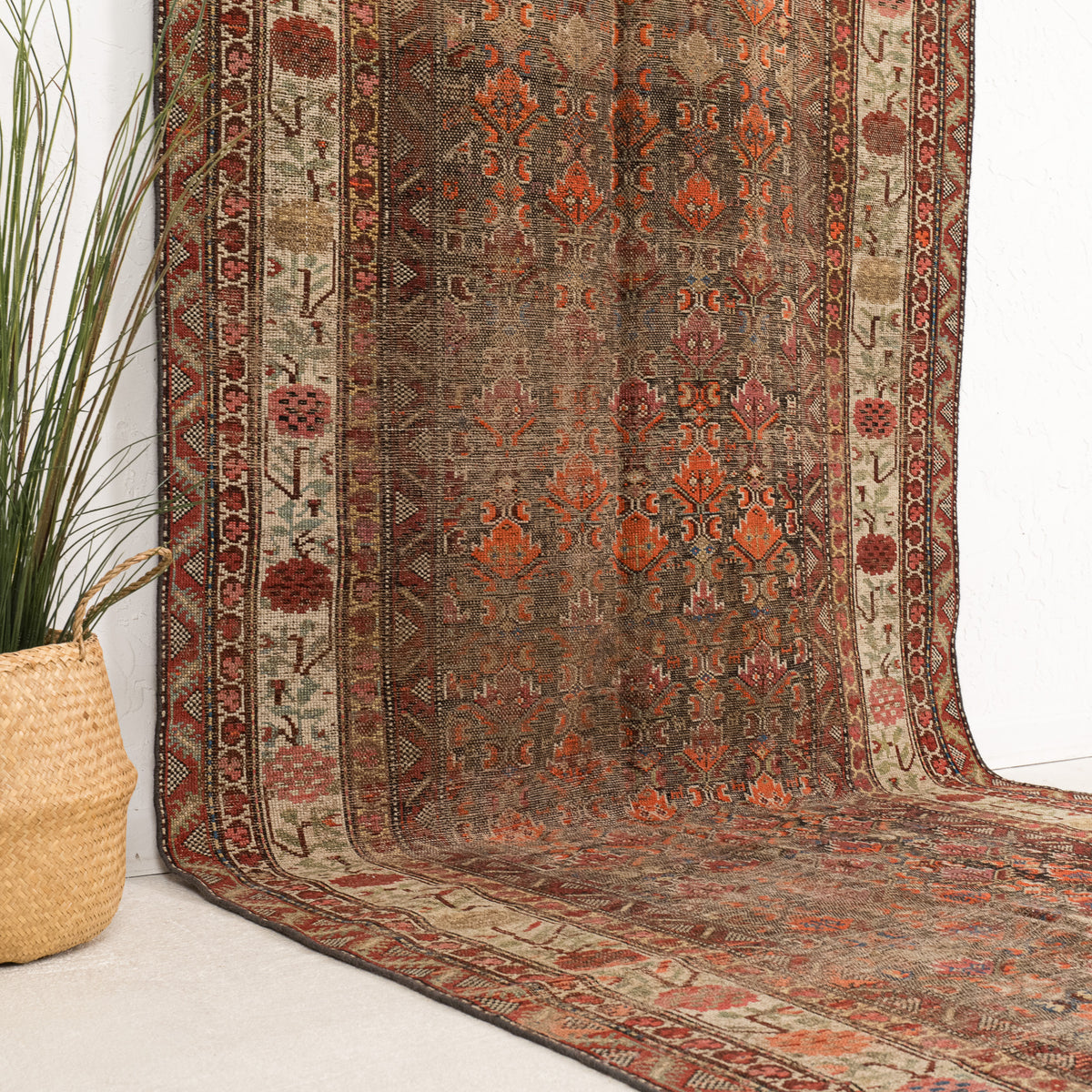 Brown and Red Area Wool Rug