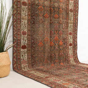 Brown and Red Area Wool Rug