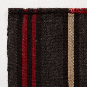 Striped 7x10 Area Rug