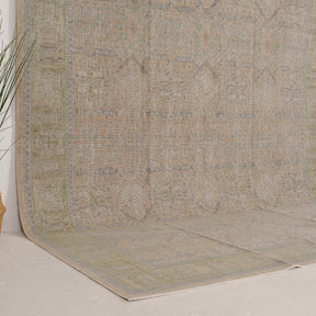 Beige and Green Area Wool Rug