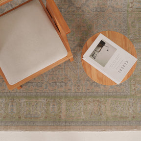 Antiquewashed Beige Area Rug