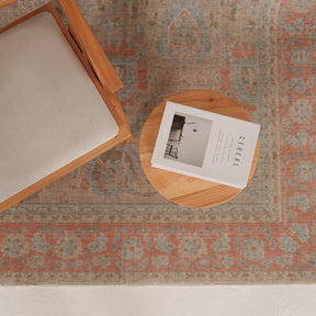 Antiquewashed Beige Area Rug
