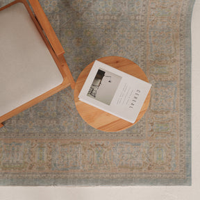 Antiquewashed Blue Area Rug