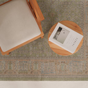 Antiquewashed Green Area Rug