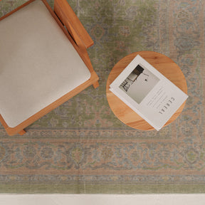 Antiquewashed Green Area Rug