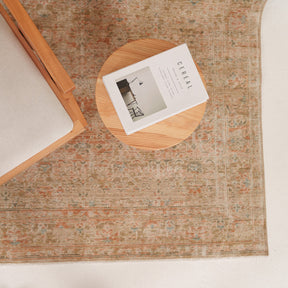Antiquewashed Beige Area Rug