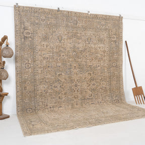 Beige and Brown Area Wool Rug