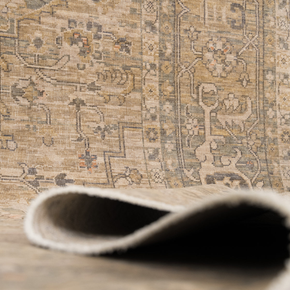 Antiquewashed Beige Area Rug
