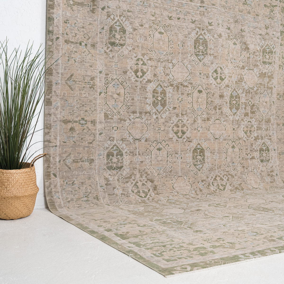Beige and Green Area Wool Rug
