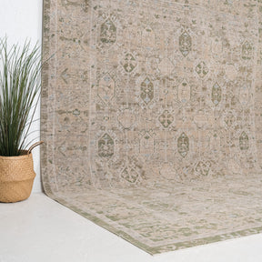 Beige and Green Area Wool Rug
