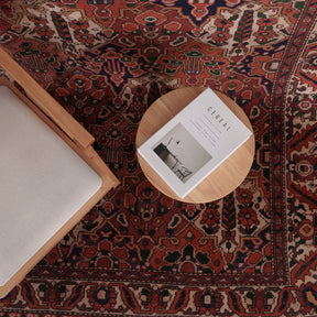 Kaelinaria - Vintage Persian Area Rug