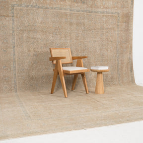 Mirevya - Vintage Persian Area Rug