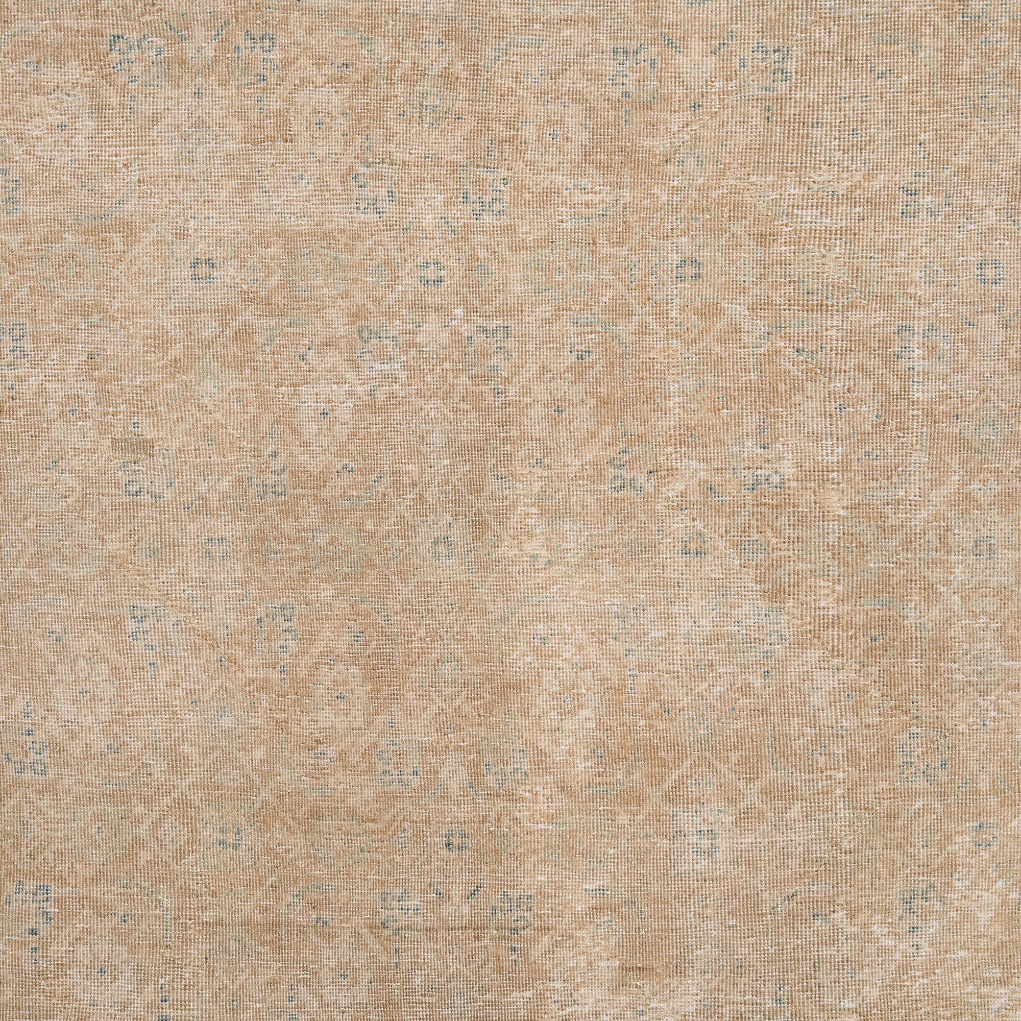 Mirevya - Vintage Persian Area Rug