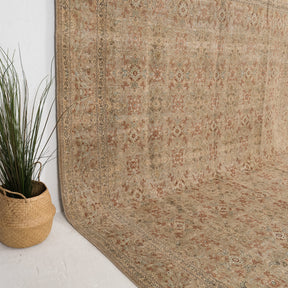 Celiryn - Vintage Persian Area Rug