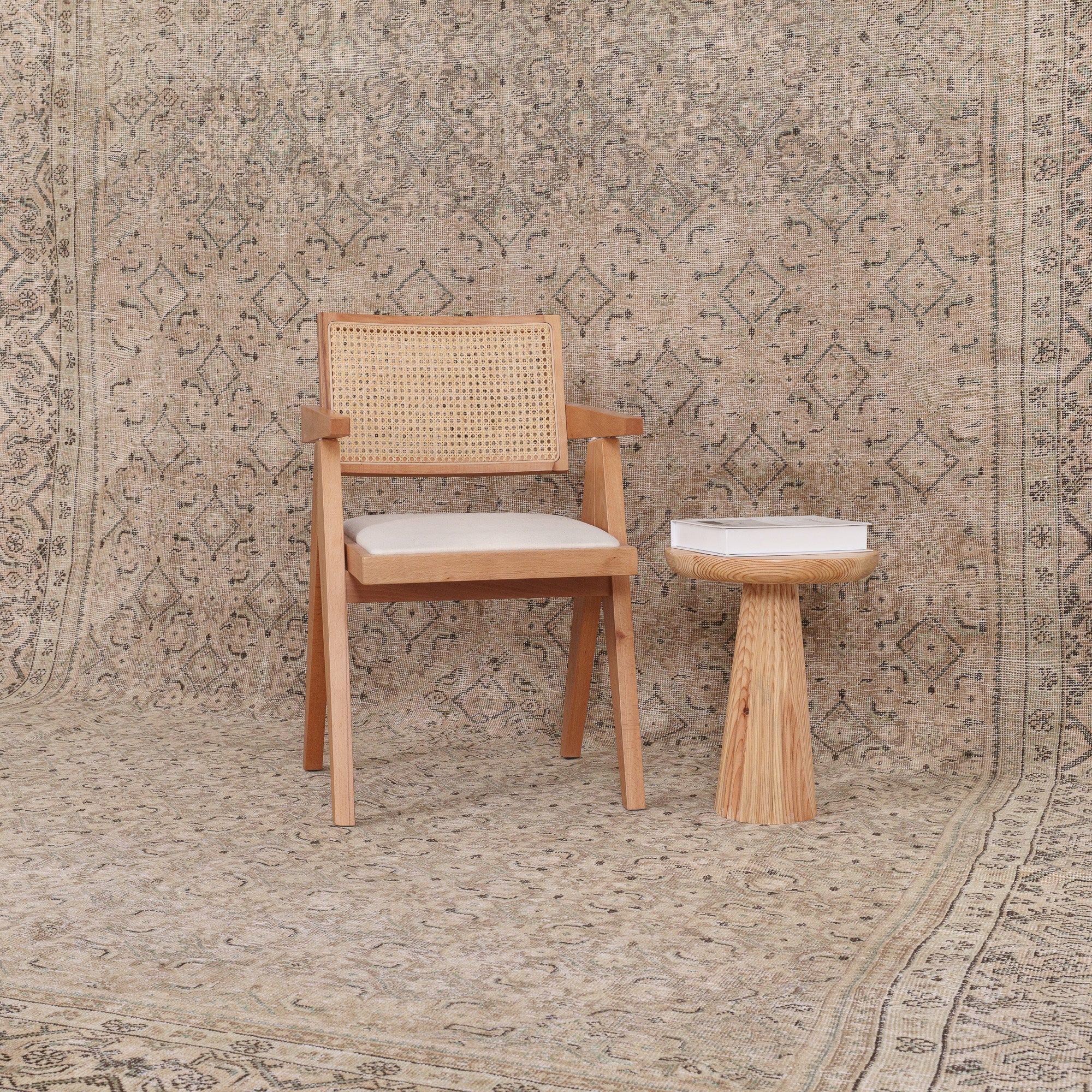 Belanaria - Vintage Persian Area Rug