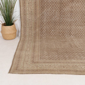 Arelin - Vintage Persian Area Rug