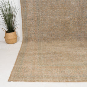 Valesyra - Vintage Persian Area Rug
