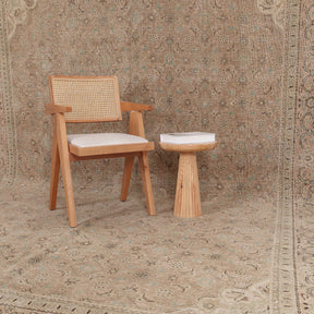 Belanara - Vintage Persian Area Rug