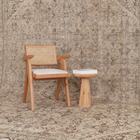 Areline - Vintage Persian Area Rug