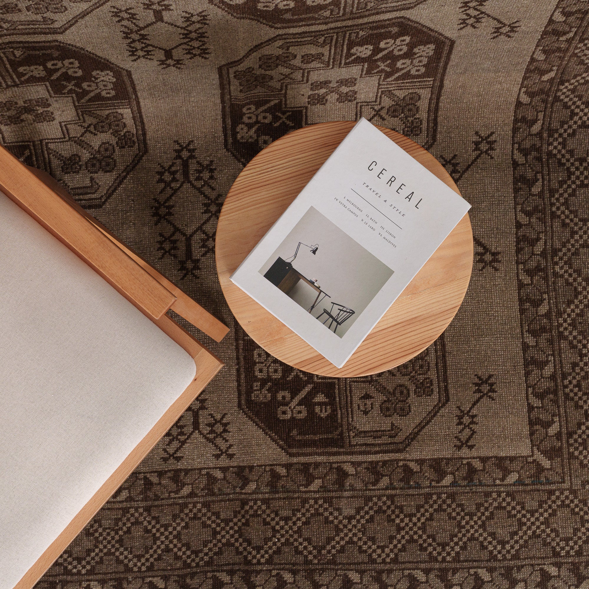 Caeliia - Vintage Persian Area Rug