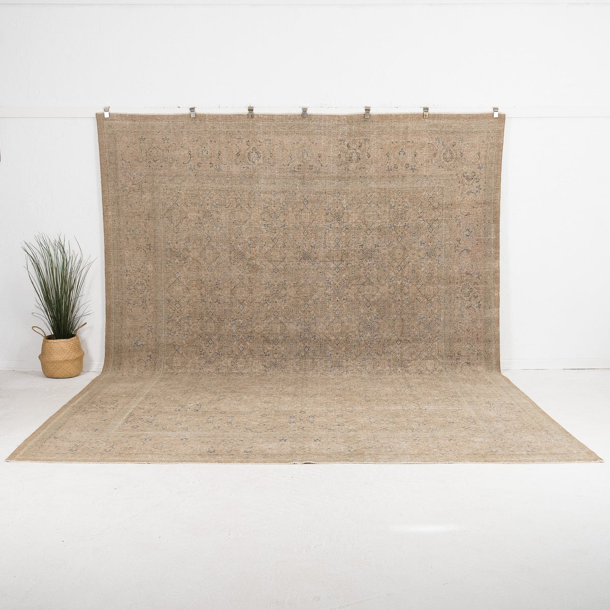 Kalarise - Vintage Persian Area Rug
