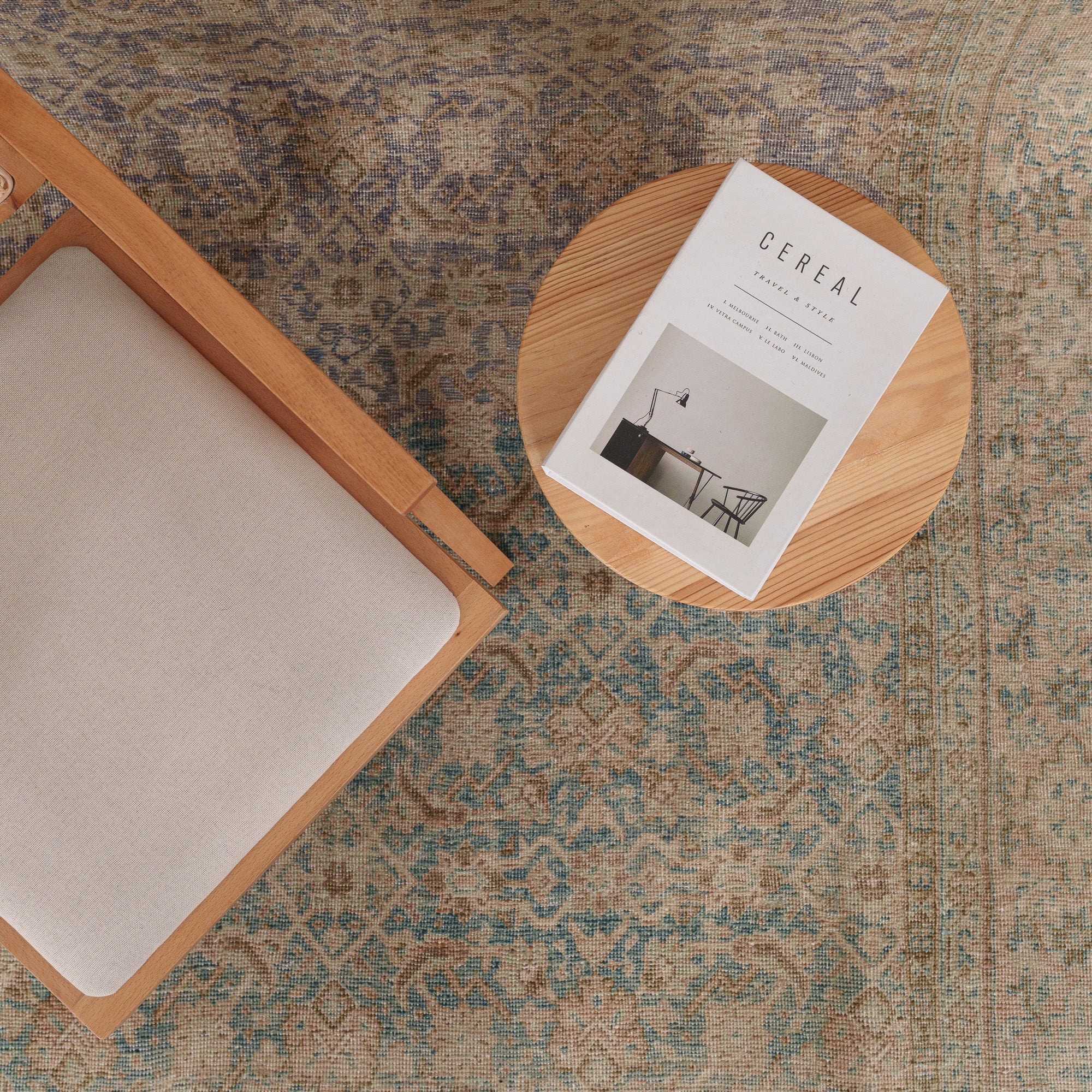 Caeliara - Vintage Persian Area Rug