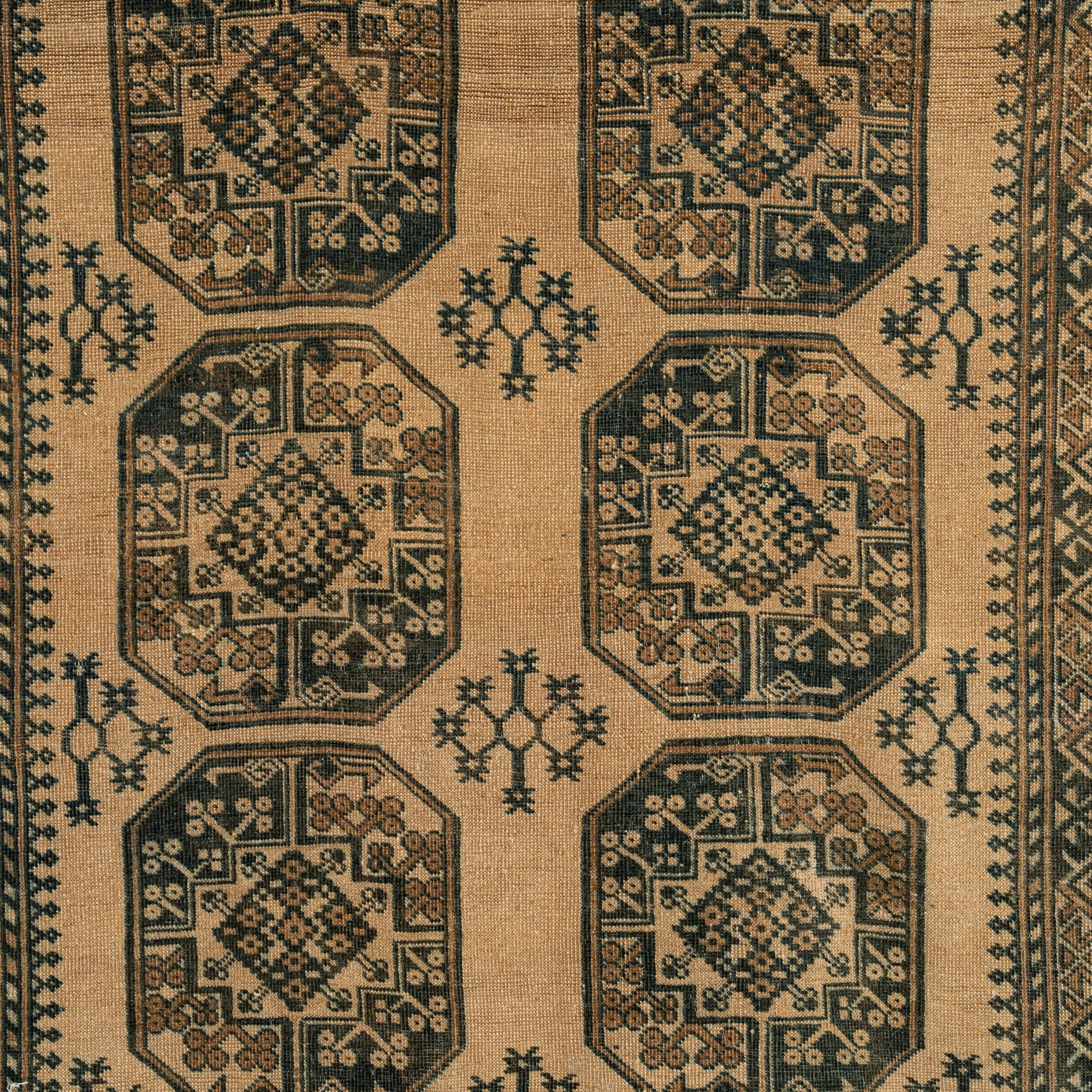Veselina - Dining Room Rug, Elegant Oriental Style
