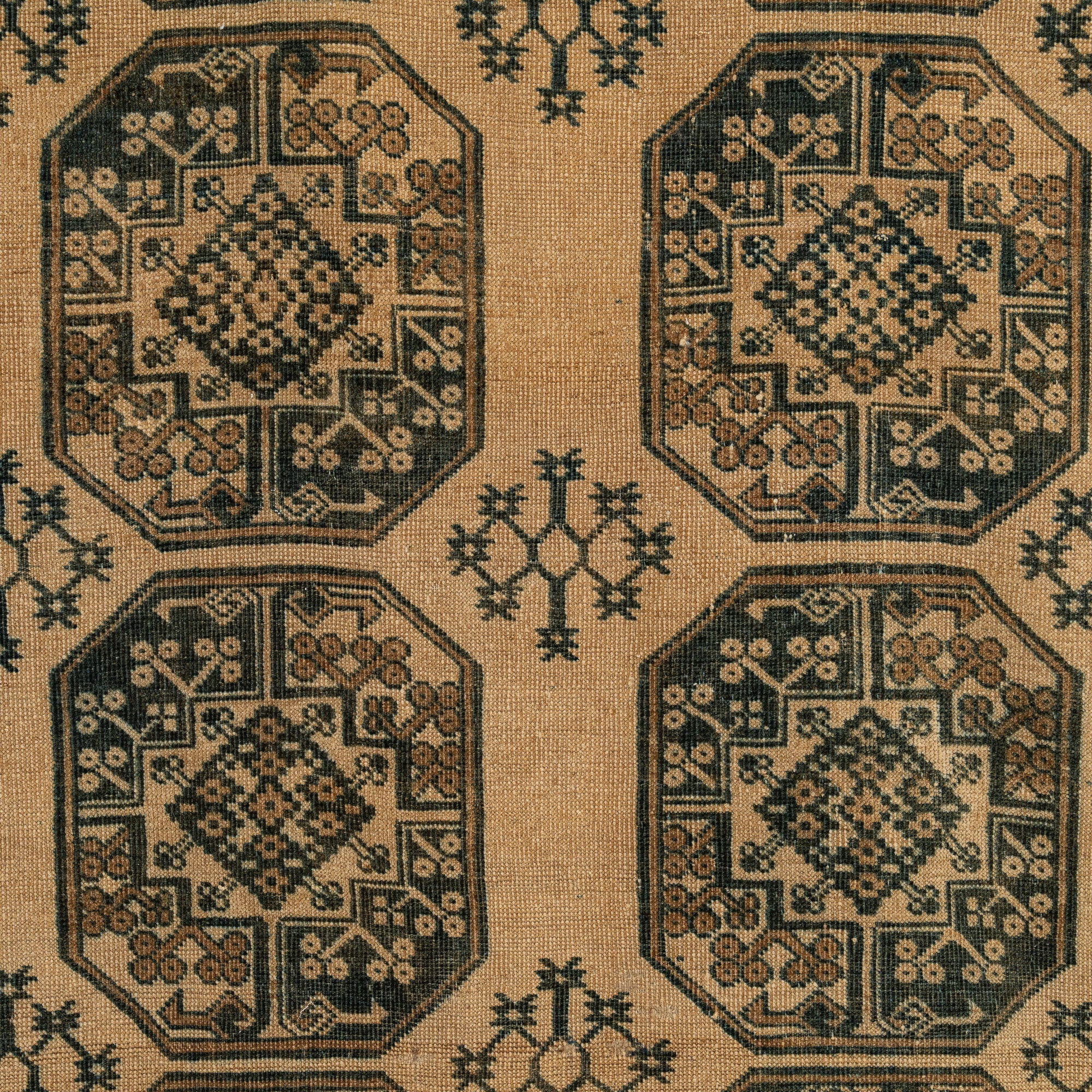 Veselina - Oriental Rug, Handcrafted for Luxury Living