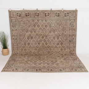 Belanis - Vintage Persian Area Rug