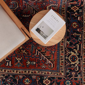 Elanella - Vintage Persian Area Rug