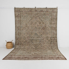 Noraya - Vintage Persian Area Rug