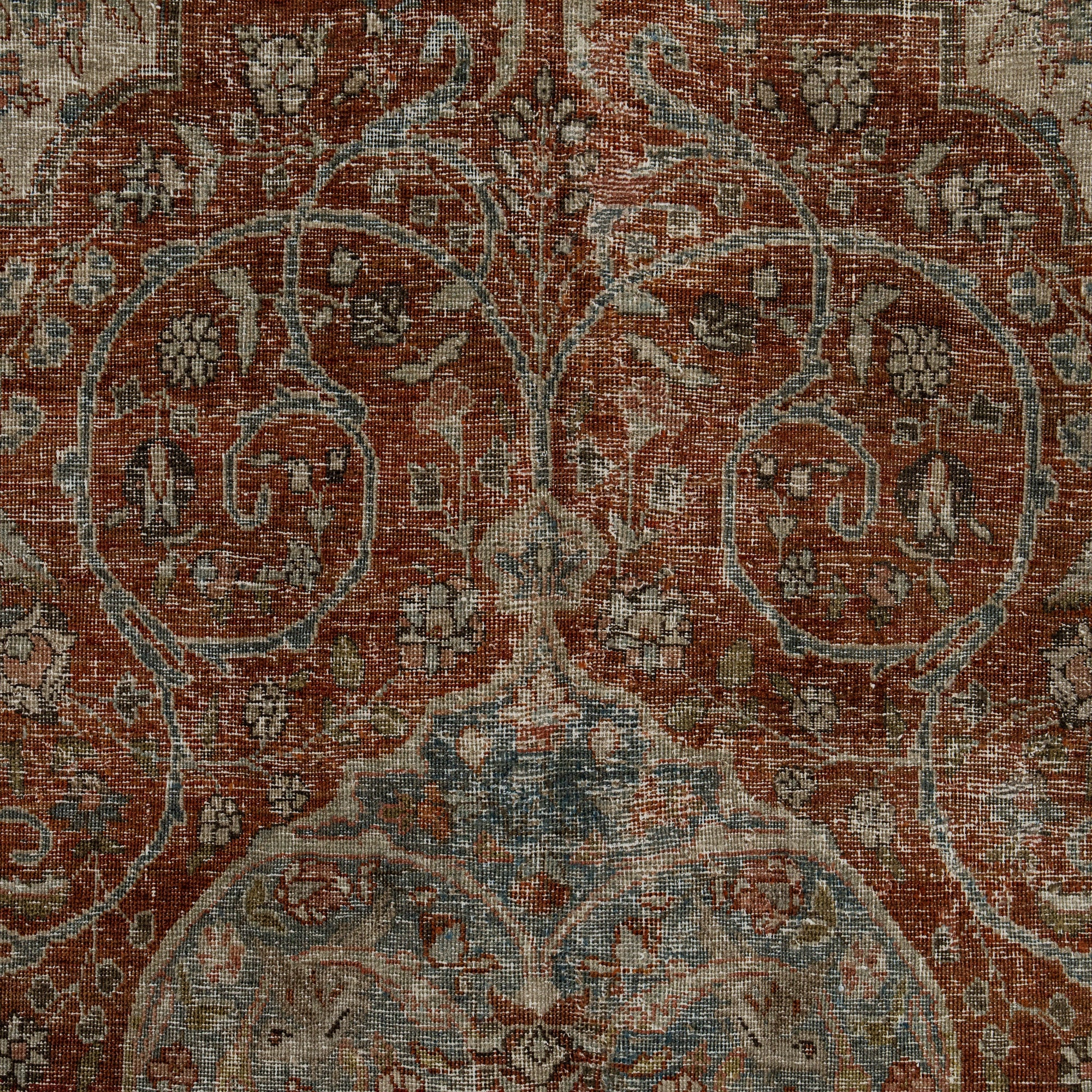 Ariselle - Dining Room Rug, Elegant Oriental Style