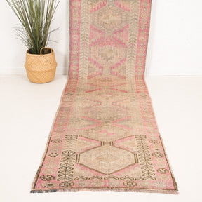 3x11 Persian Rug