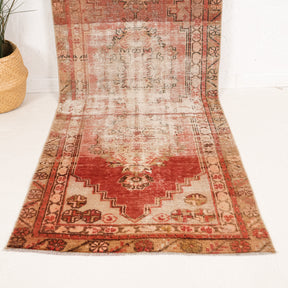3x10 Persian Rug
