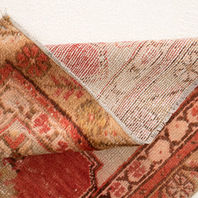3x10 Red Runner Rug