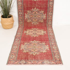 3x11 Persian Rug