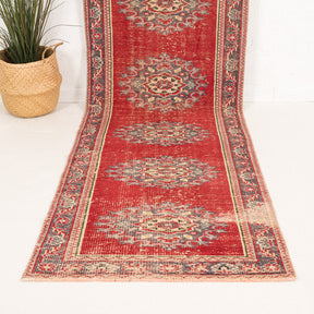 3x11 Persian Rug