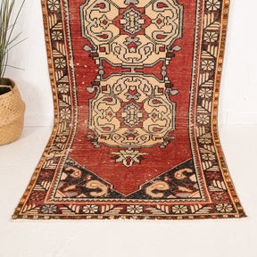 3x9 Persian Rug