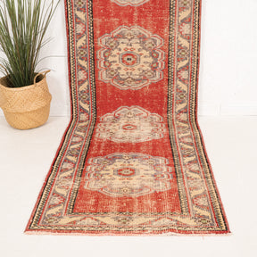 3x10 Persian Rug