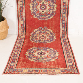 3x10 Persian Rug