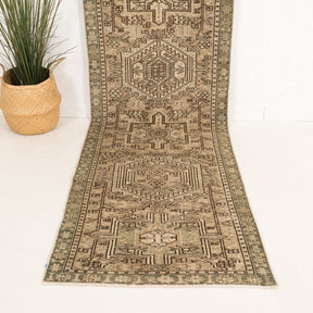 3x11 Persian Rug