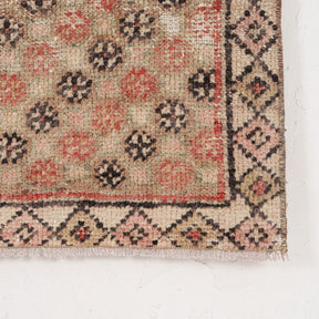 Medallion 4x5 Area Rug